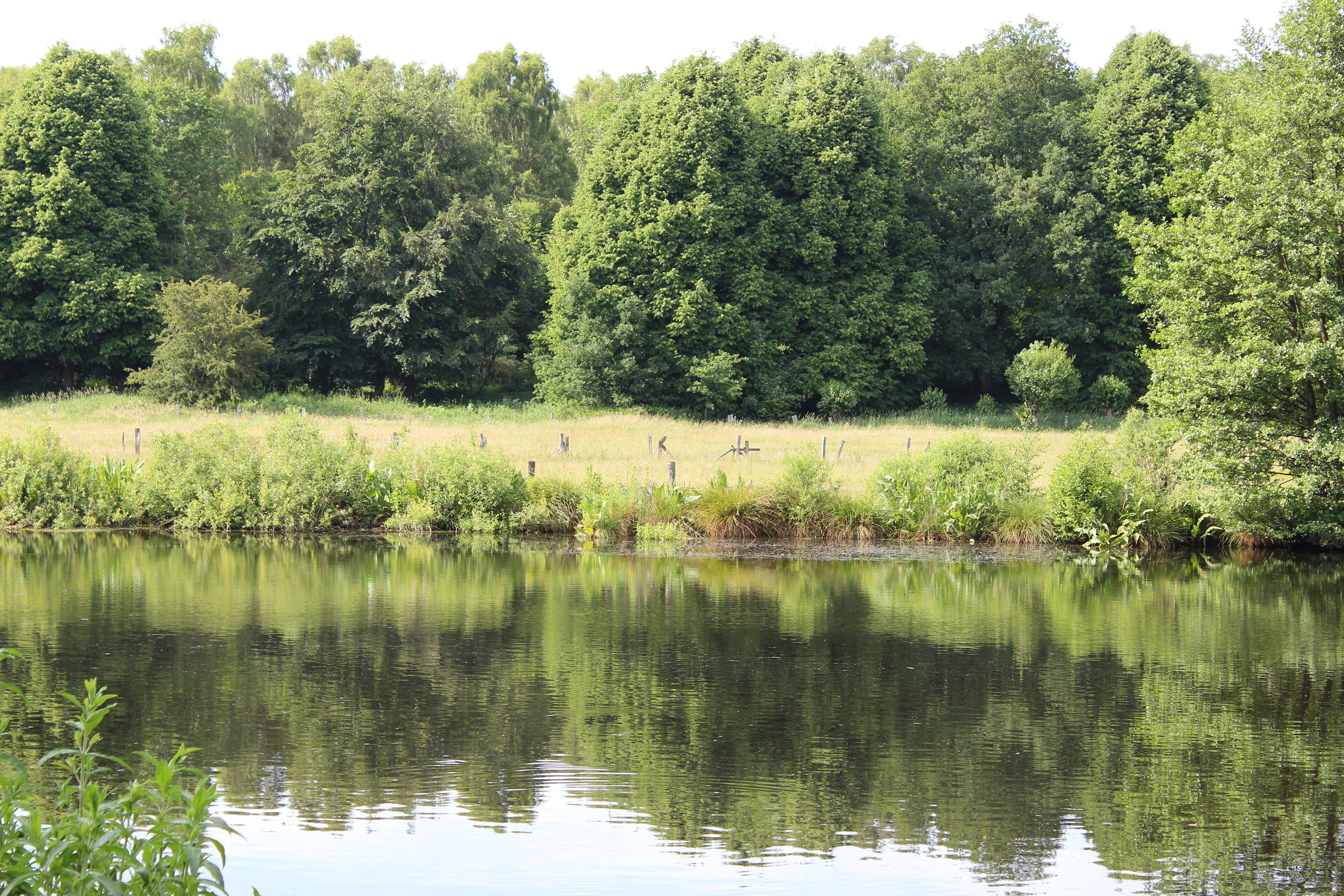 Volksdorf, Hamburg: integral nature reserve "Volksdorfer Teichwiesen"