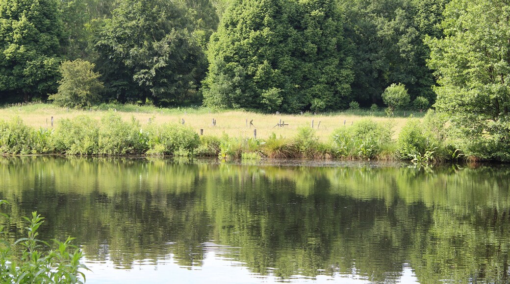 Volksdorf, Hamburg: integral nature reserve "Volksdorfer Teichwiesen"