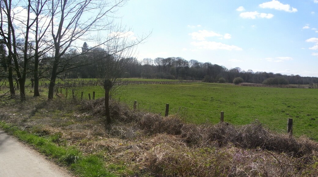 Blick über die Teichwiesen in Hamburg-Volksdorf nach Westen
