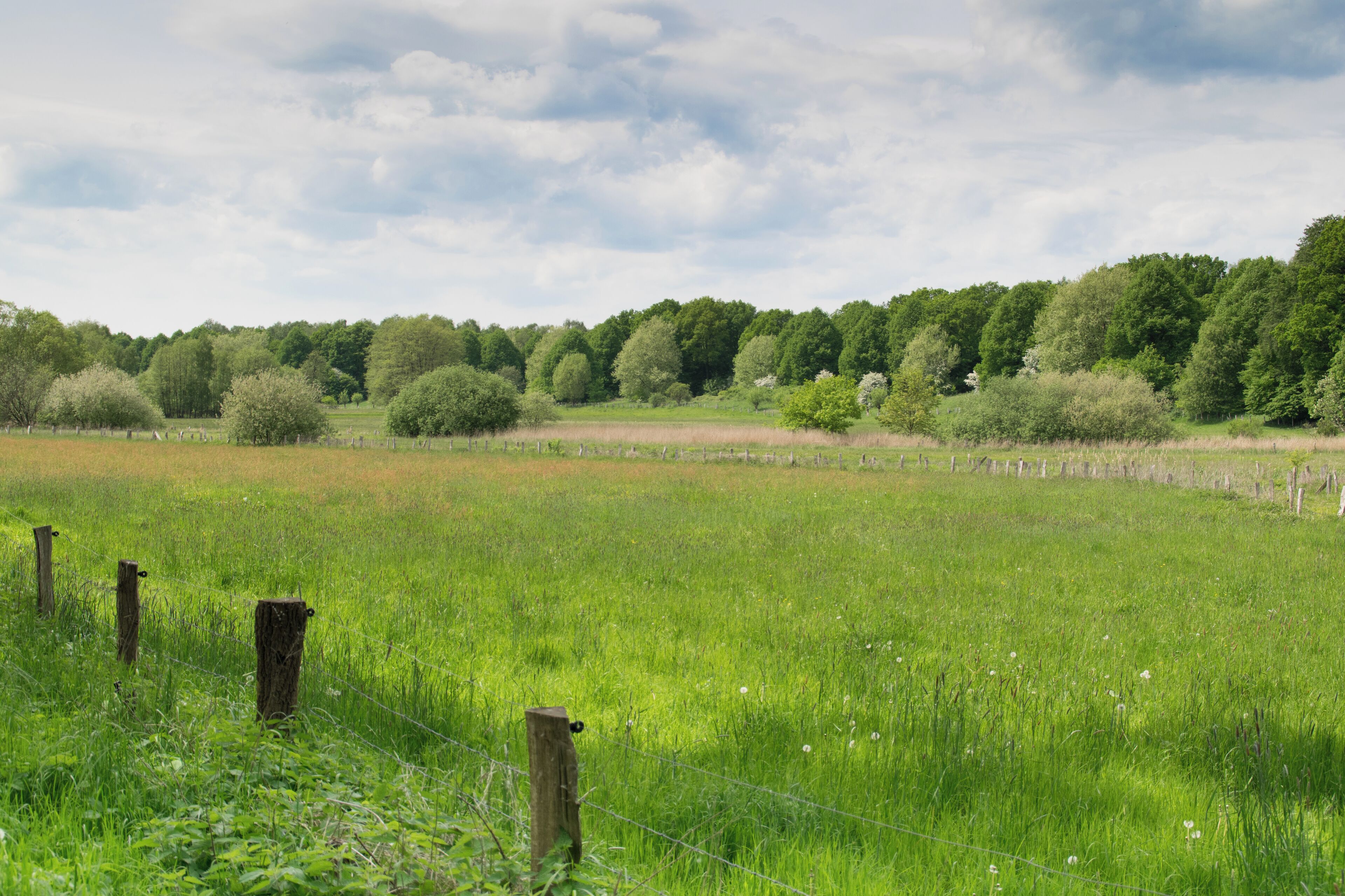 zwischen Gussau und Saselbek