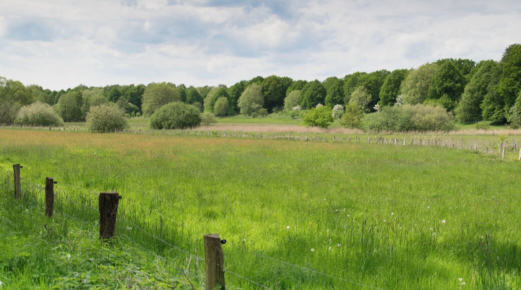 zwischen Gussau und Saselbek