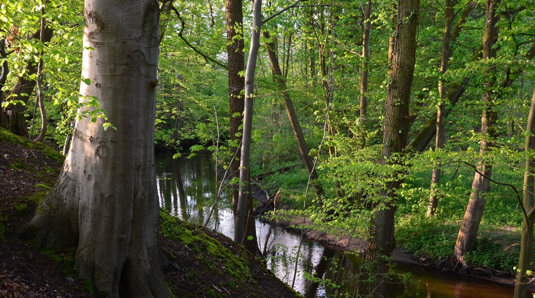 Die Bille in Reinbek im NSG Billetal