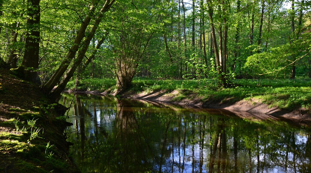 Die Bille in Reinbek im NSG Billetal