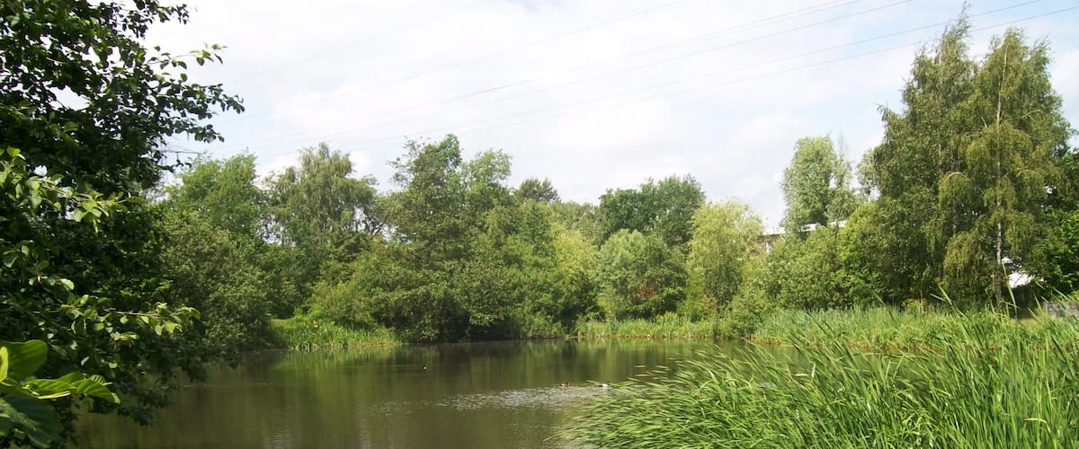 A calm river with dense greenery and trees on both sides.