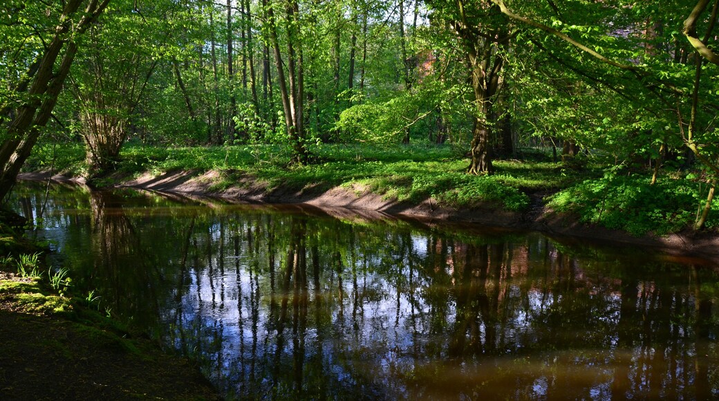 Die Bille in Reinbek im NSG Billetal