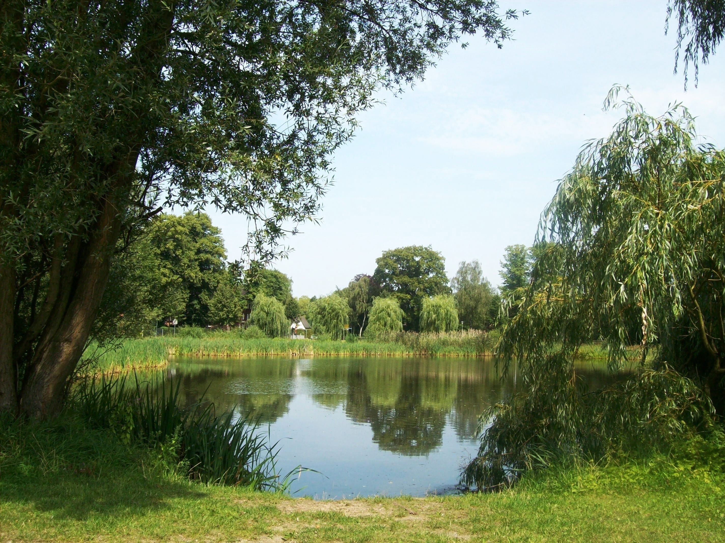 Der Teich in Schönnigsteht