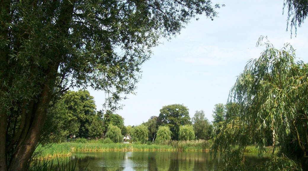 Der Teich in Schönnigsteht