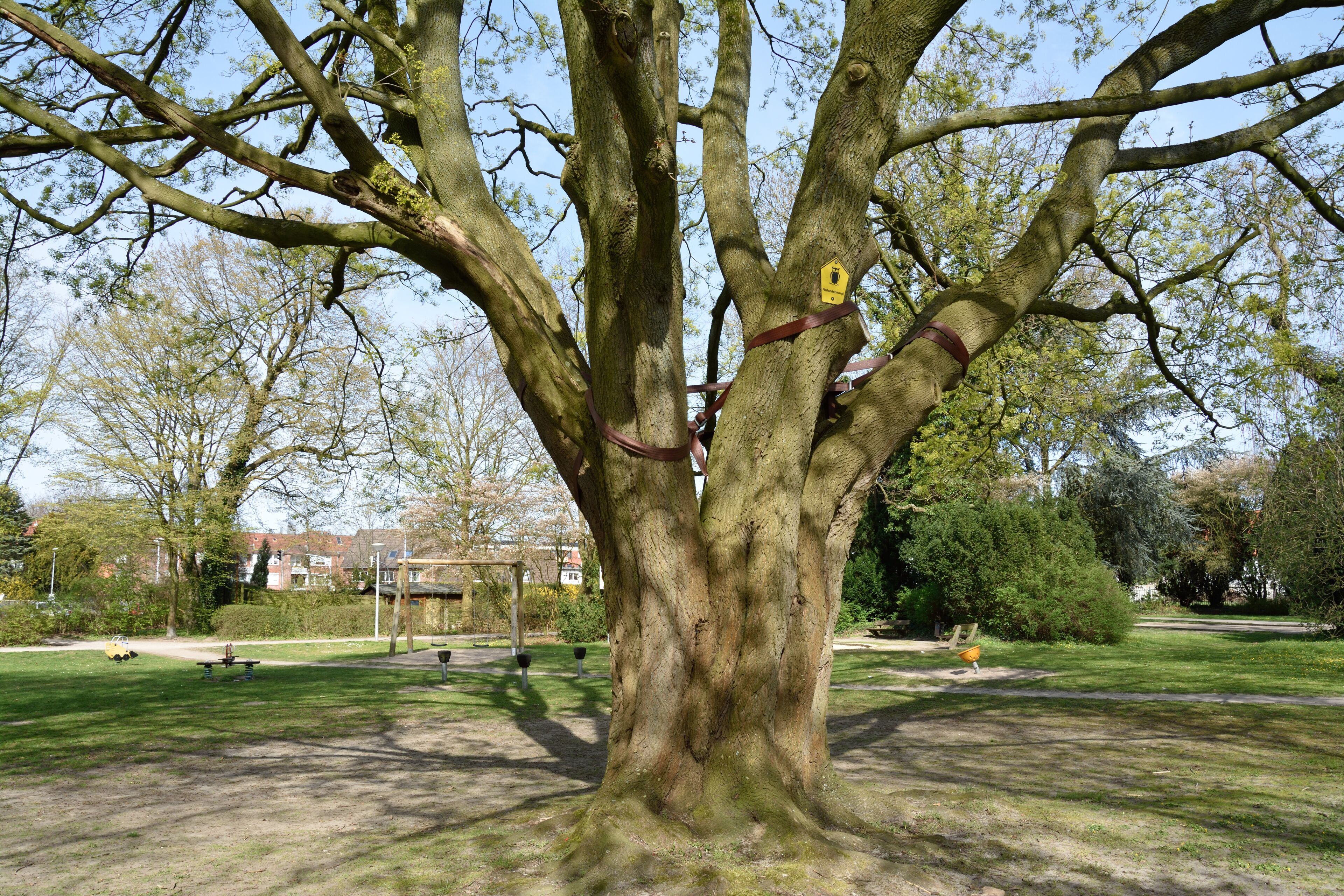 This image was uploaded as part of Wiki Loves Earth 2015.