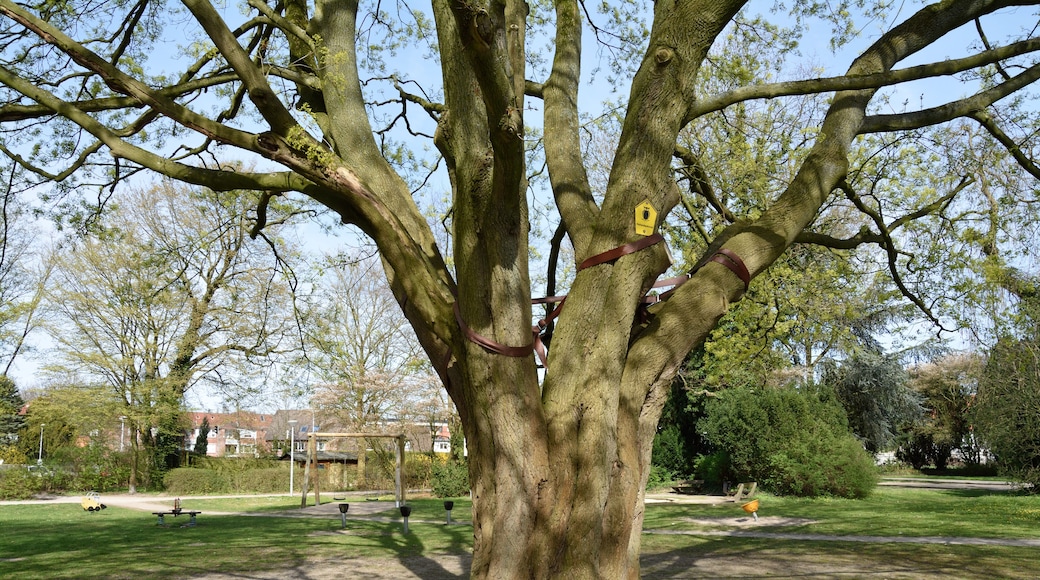 This image was uploaded as part of Wiki Loves Earth 2015.