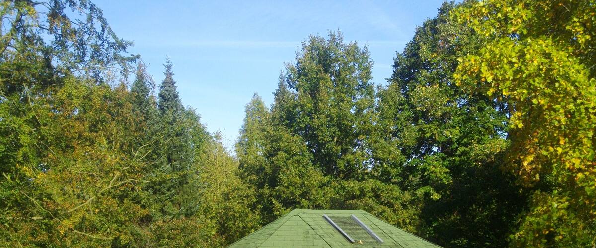 A wooden gazebo with a green roof in a park surrounded by trees.