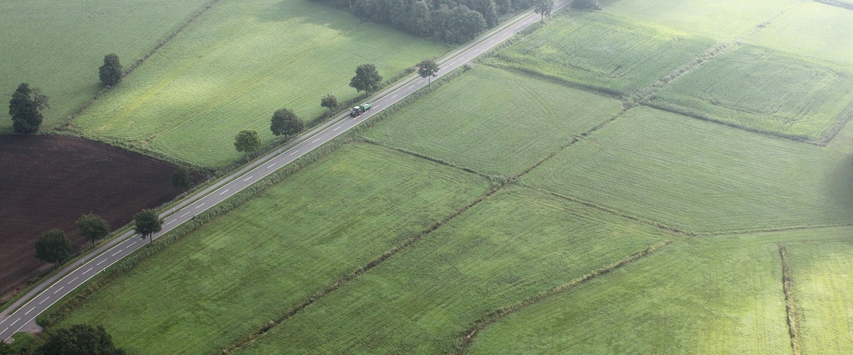 An aerial view of a rural landscape with a road, fields, and a forest.