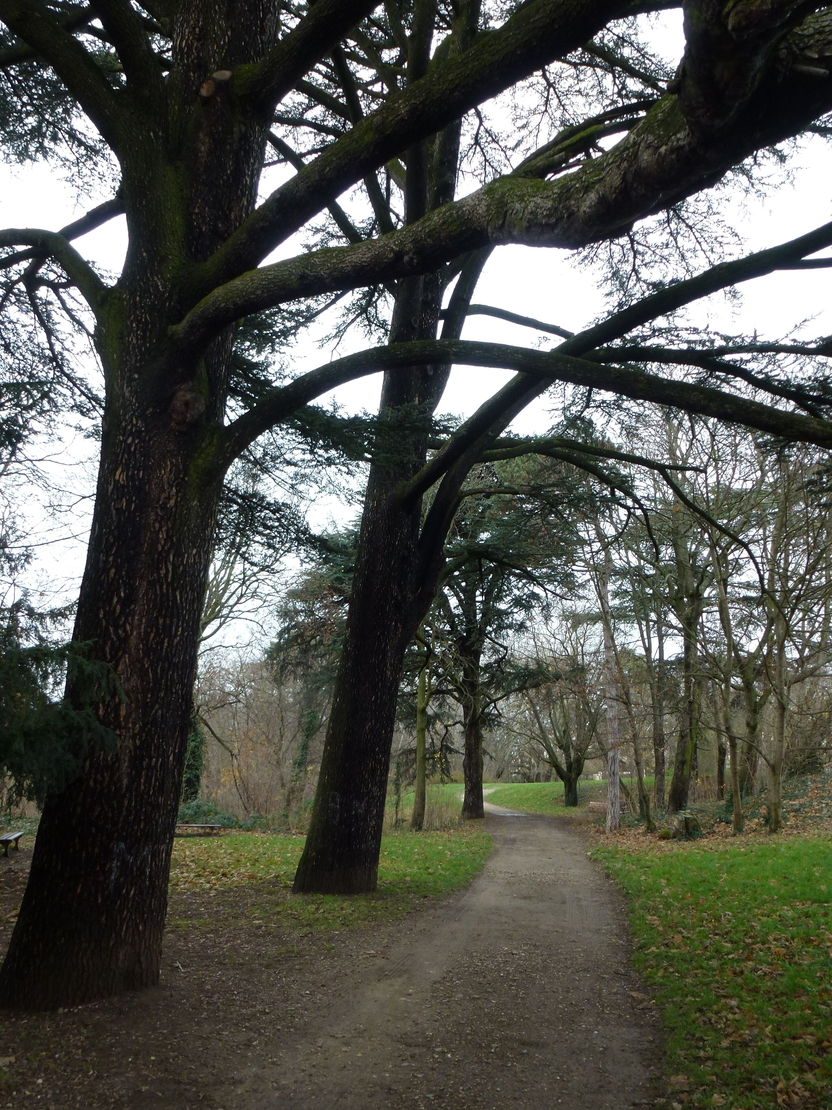 Parc du Brûlet à Sainte-Foy-lès-Lyon dans le Rhône.