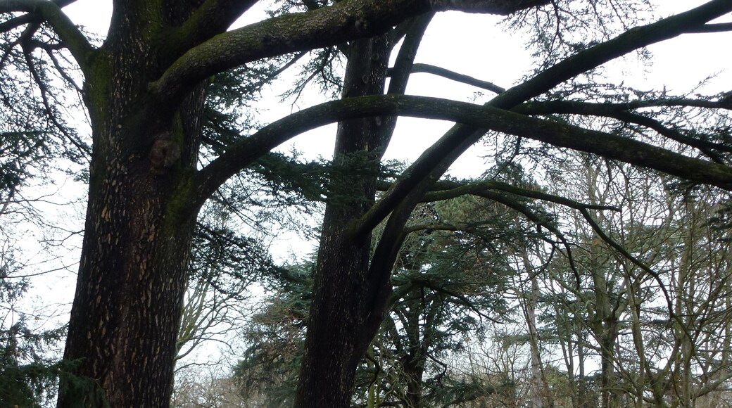 Parc du Brûlet à Sainte-Foy-lès-Lyon dans le Rhône.