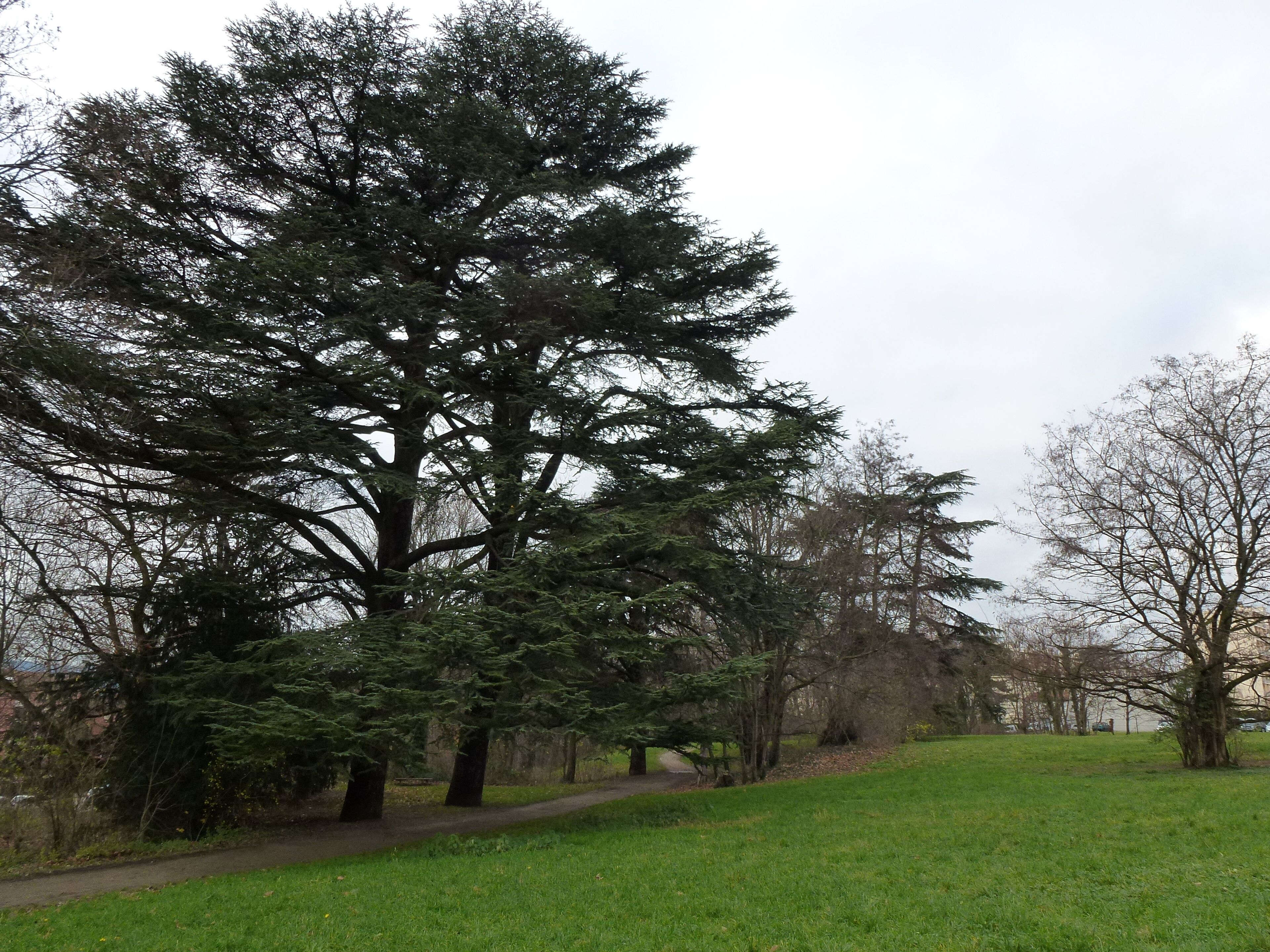 Parc du Brûlet à Sainte-Foy-lès-Lyon dans le Rhône.