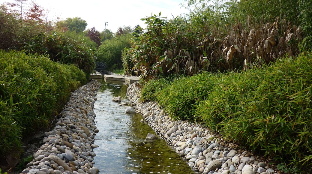Jardin de la Paix et des Libertés, 10/2009