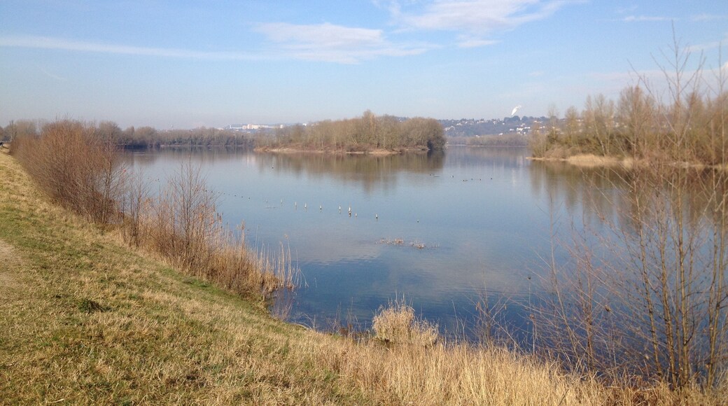 Zone protรฉgรฉe des Grands Vernes - Lac des Eaux Bleues - Grand parc de Miribel-Jonage.