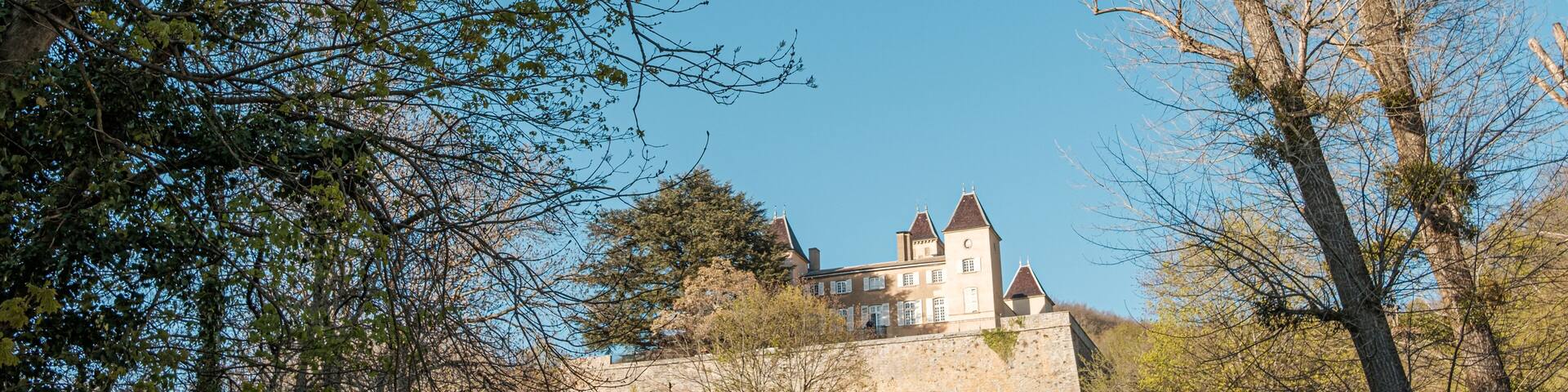 Château de la Barollière - Limonest France