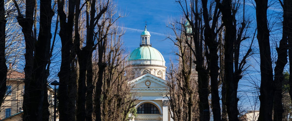 A pathway lined with trees leading to a building with a dome and a clock tower.