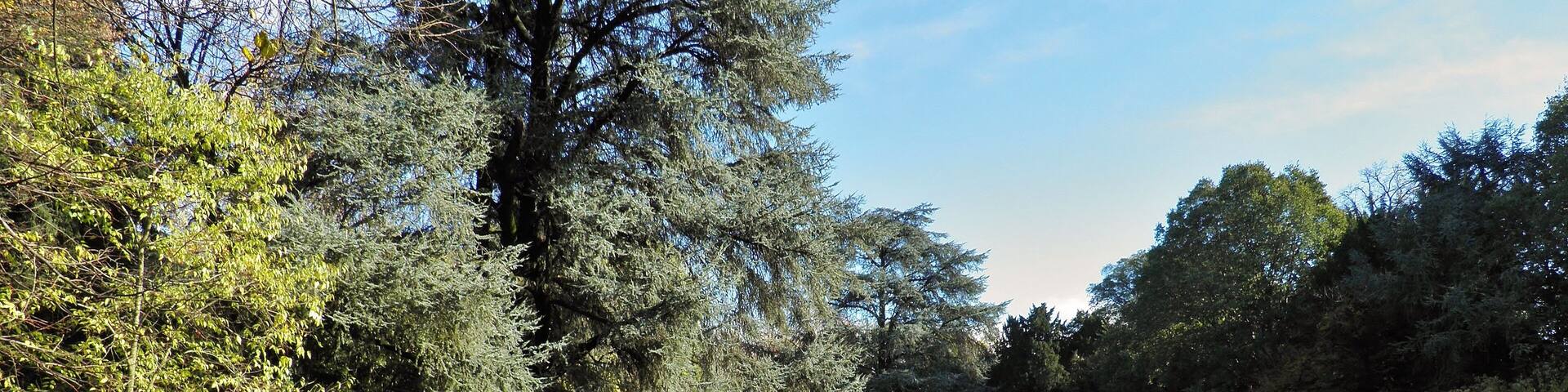 This is a photo of a monument which is part of cultural heritage of Italy. This monument participates in the contest Wiki Loves Monuments Italia 2015. See authorisations.