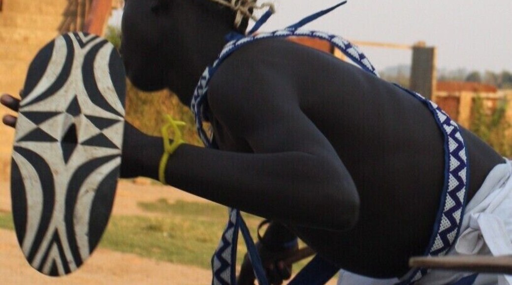 #TroveOn The boys at Les Enfants de Dieu performing a traditional Intore Dance. If you have the privilege to visit Rwanda, we highly recommend attending a dance ceremony. We were lucky enough to be volunteering at the center and were treated to many performances by the boys. Intore dance troupe performances can be found throughout Rwanda and at most public ceremonies.
#Rwanda #Intore #Dance #Kigali