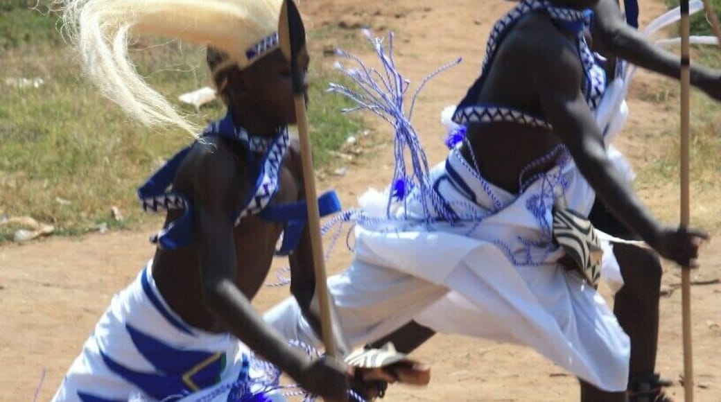 #TroveOn The boys at Les Enfants de Dieu performing a traditional Intore Dance. If you have the privilege to visit Rwanda, we highly recommend attending a dance ceremony. We were lucky enough to be volunteering at the center and were treated to many performances by the boys. Intore dance troupe performances can be found throughout Rwanda and at most public ceremonies.
#Rwanda #Intore #Dance #Kigali