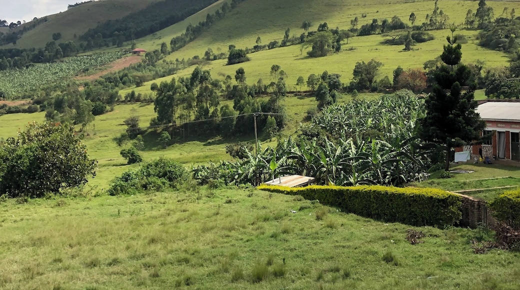 Rwanda is a beautiful, industrious, lushly green country. So much bad history to put behind them, but they have made huge strides to ensure that they only continue to learn from it and move forward.