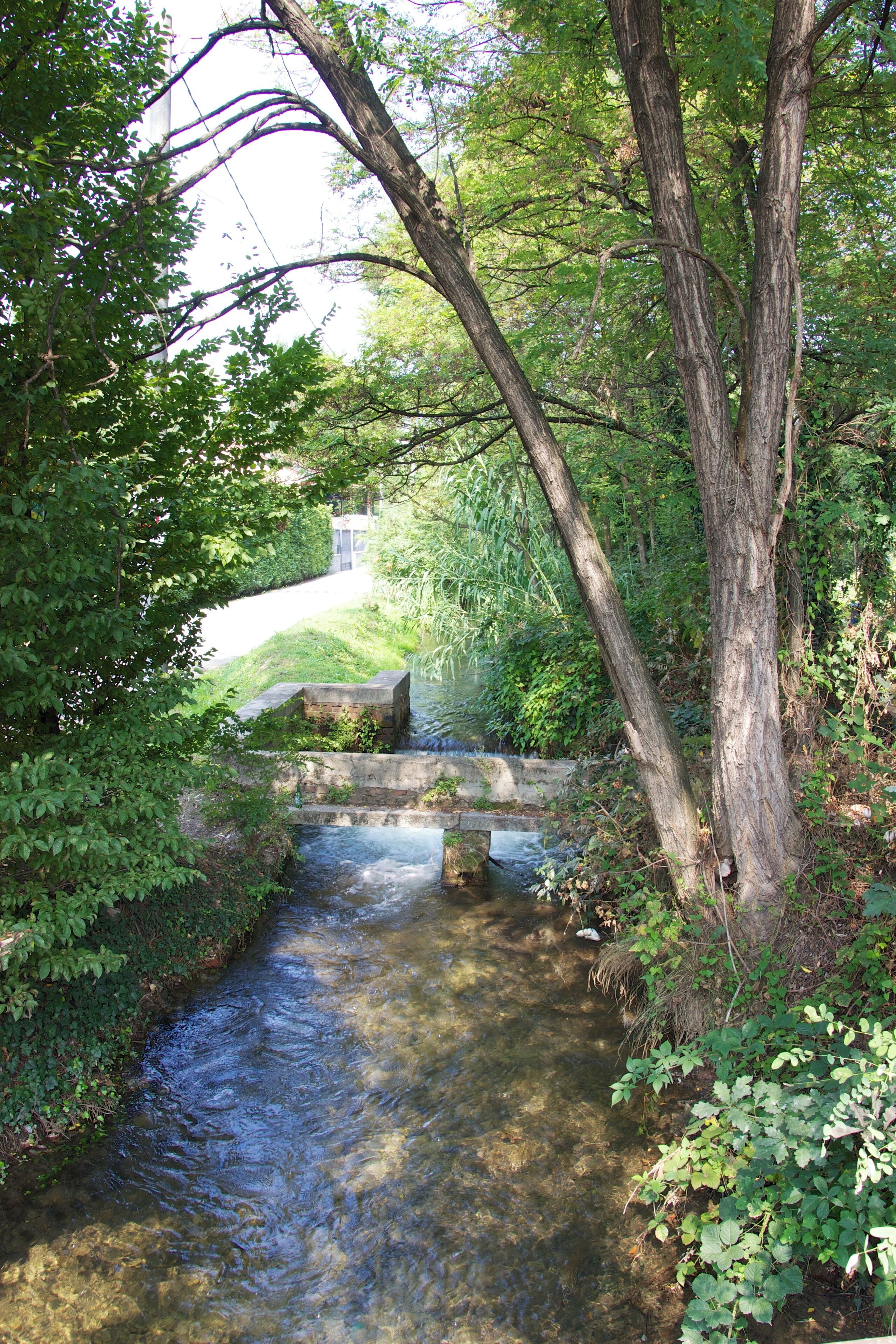 The authorisation for taking photos of this object was provided by the World Wide Fund for Nature Italy.