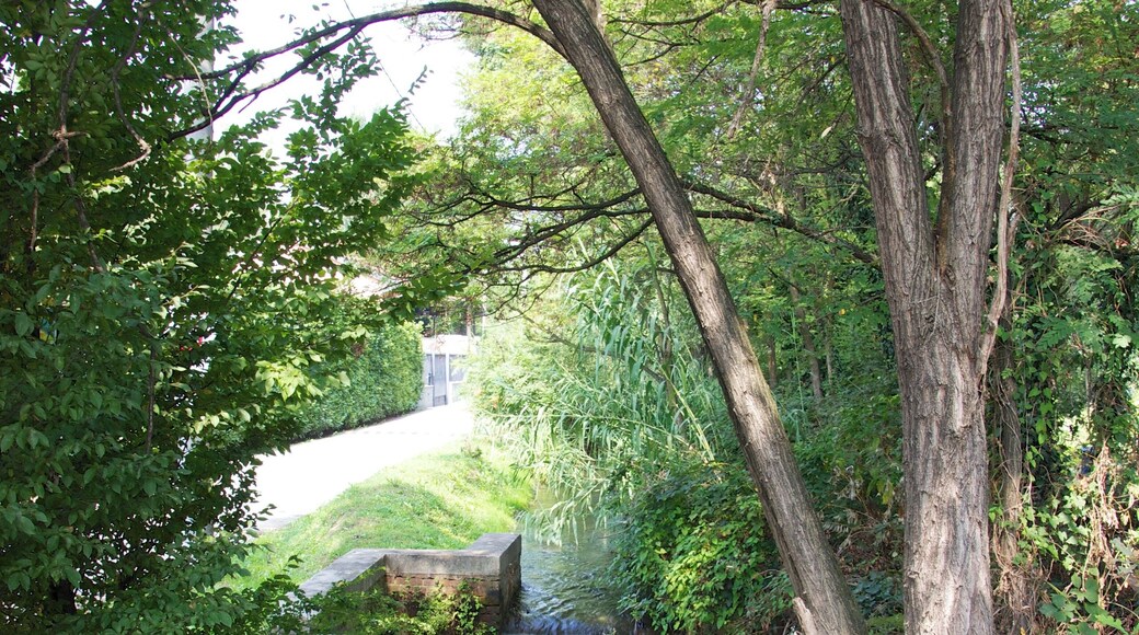 The authorisation for taking photos of this object was provided by the World Wide Fund for Nature Italy.