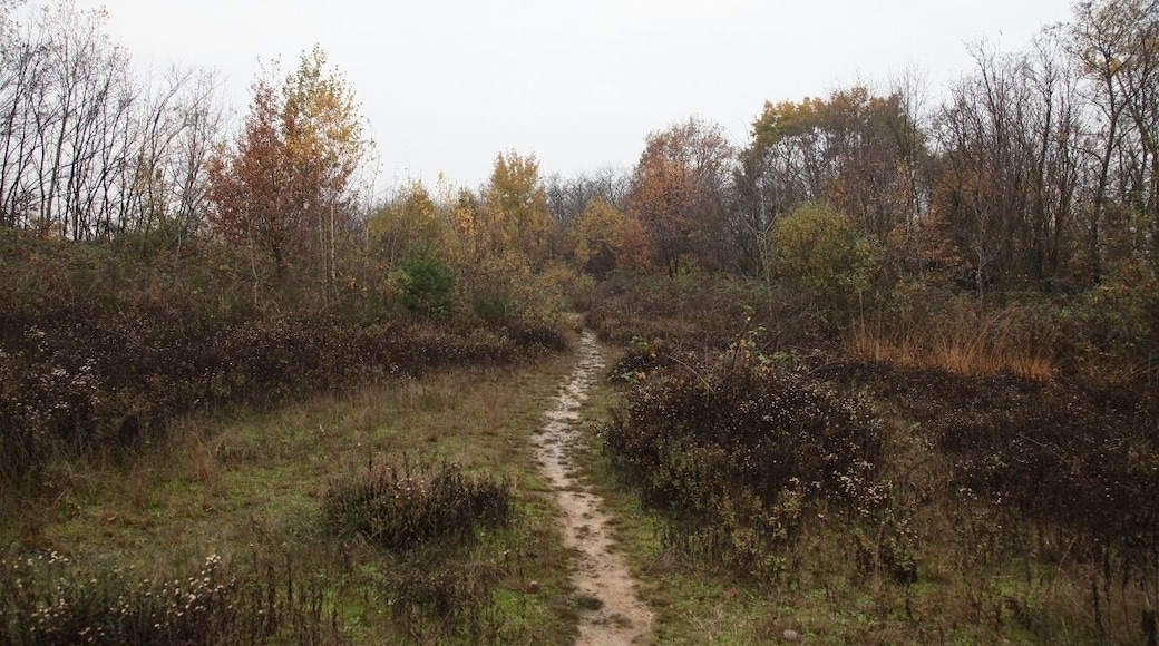 Parco Groane 11/2010