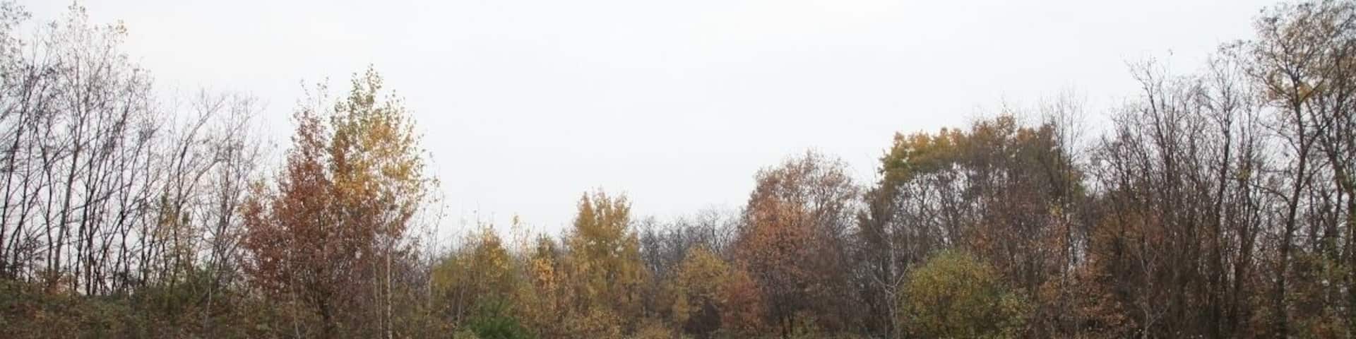 Parco Groane 11/2010