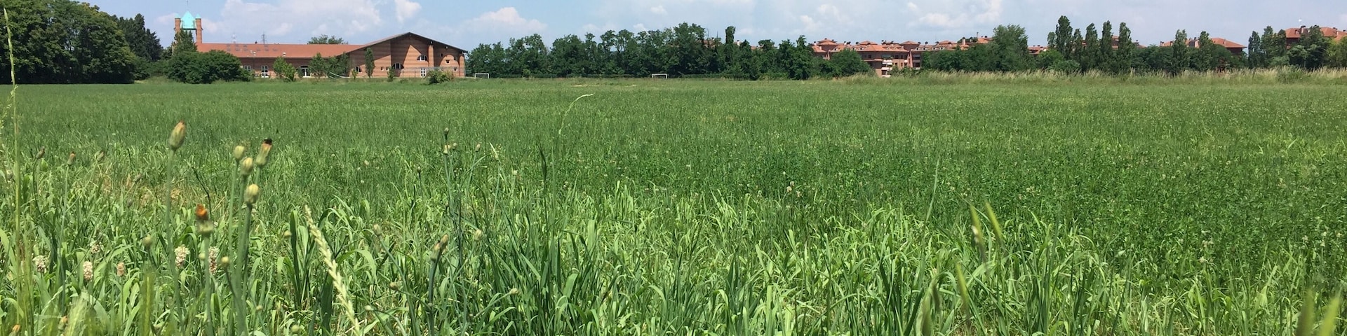 Le champs de bataille s'étend sur 1km carré au sud de Milan. La photo est prise du coté Franco-venetien, sur le lieu supposé de la bataille du 14 au matin.