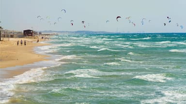 A beach with waves and multiple kites flying in the sky.