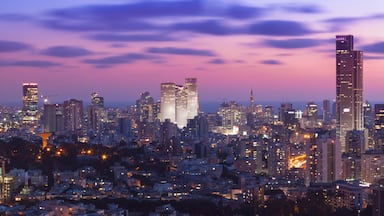 A cityscape at dusk with illuminated buildings and a pink sky.