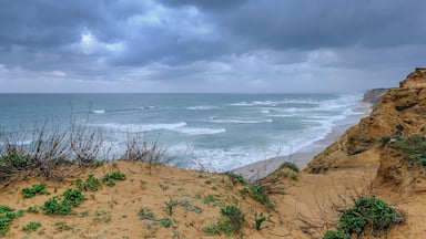 A coastal landscape with sandy dunes, sparse vegetation, and a rugged cliff overlooking the ocean under a cloudy sky.