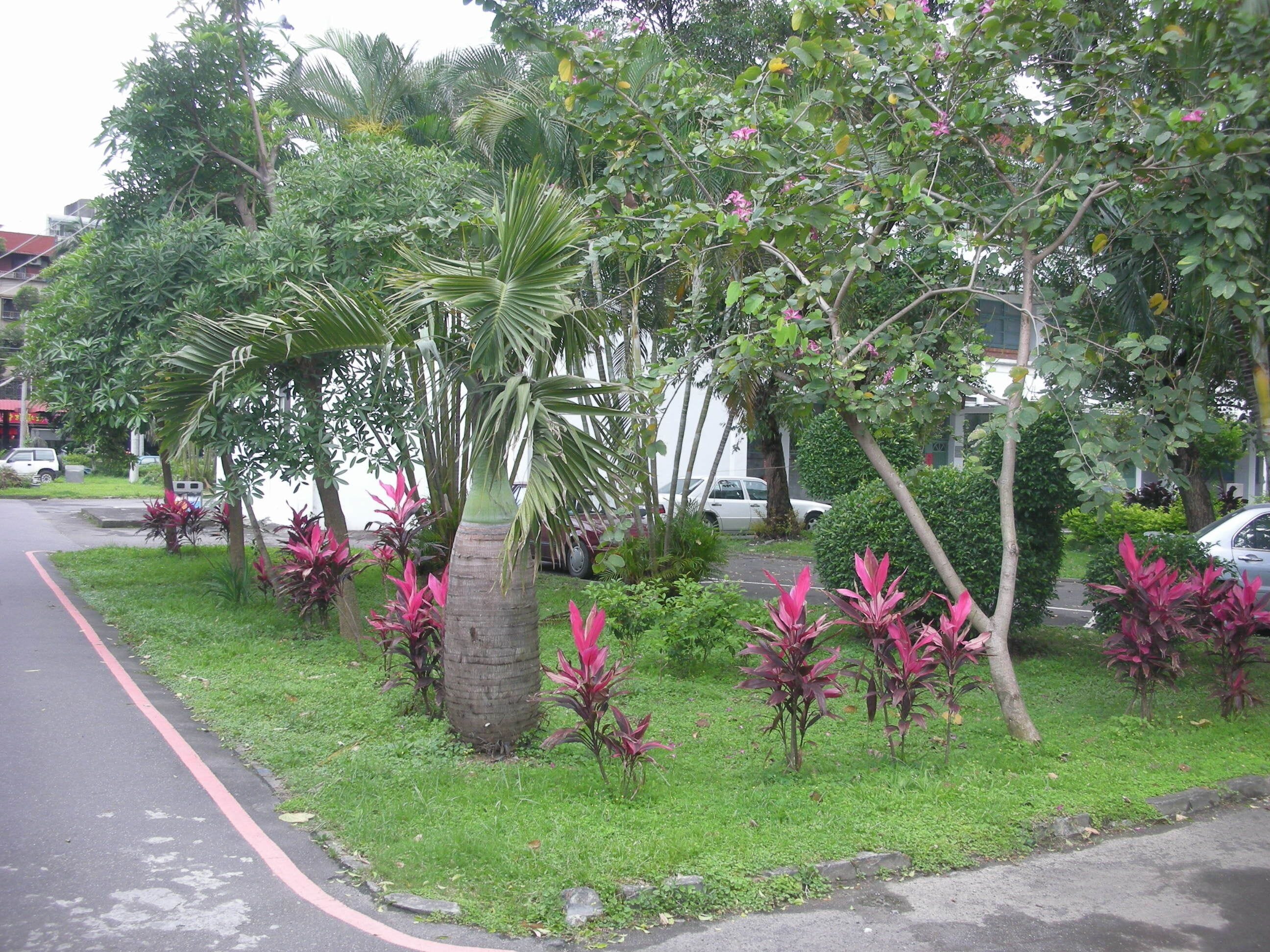 空中大學[蘆洲]