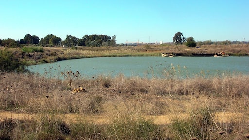 L'extrémité aval du canal Alphonse XIII au sud du port fluvial de Séville (Espagne)