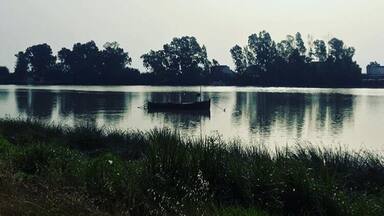 Paseo Carlos de Mesa (Coria Del Río,Sevilla)