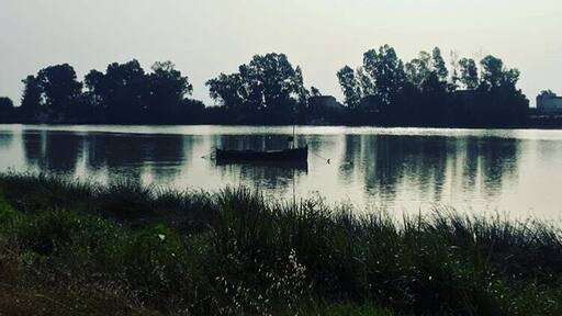 Paseo Carlos de Mesa (Coria Del Río,Sevilla)