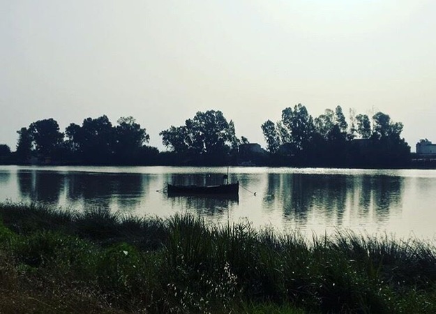 Paseo Carlos de Mesa (Coria Del Río,Sevilla)
