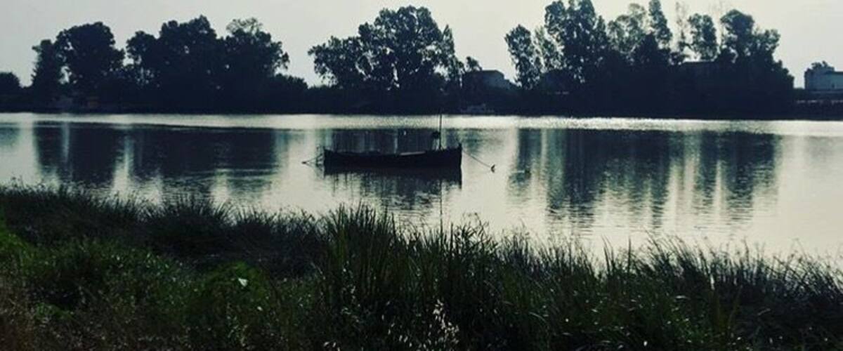 A calm lake with a small boat and dense trees in the background.