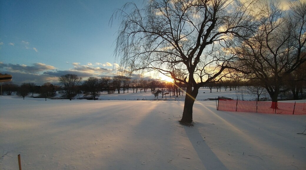 Sunset over Sheridan Park.
#Mybackyard