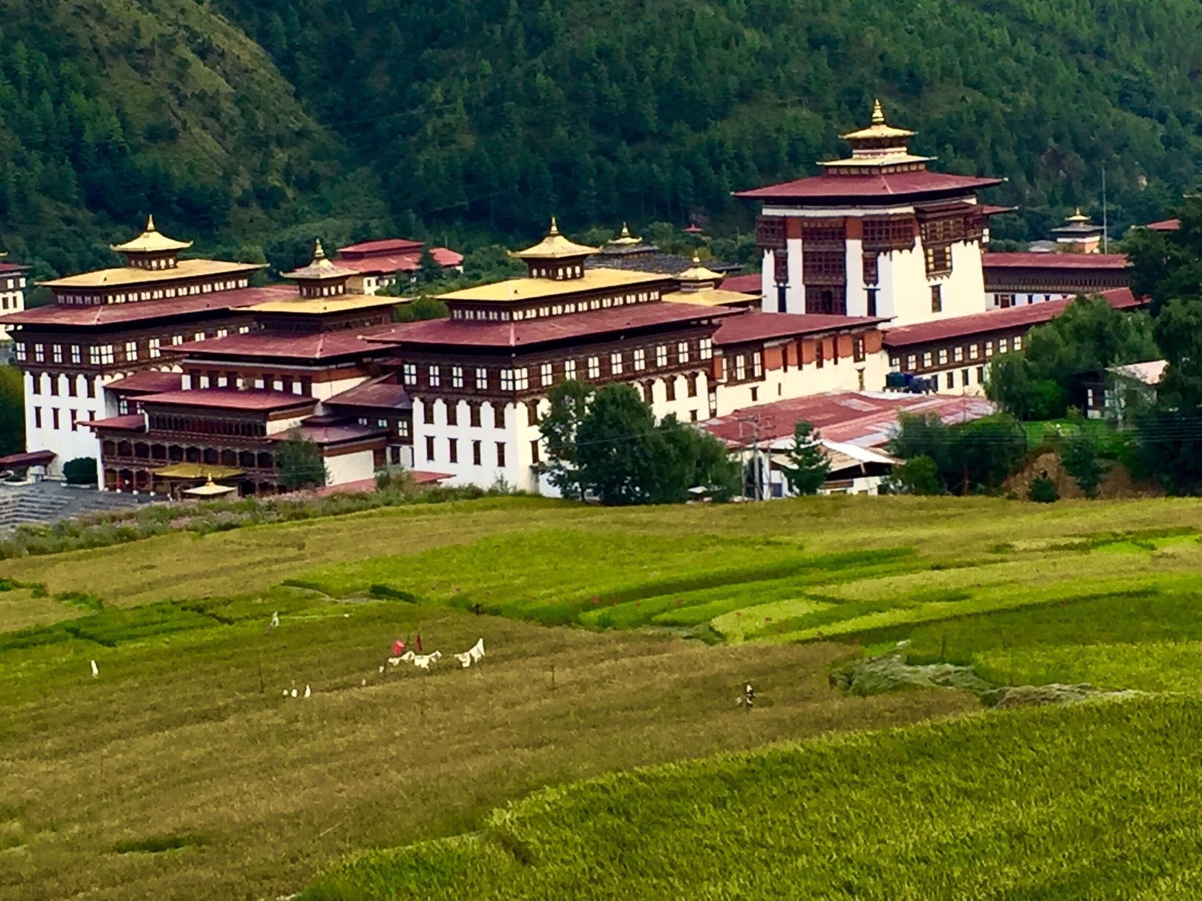 A large monastery complex with multiple buildings, surrounded by terraced fields and a forested hillside.