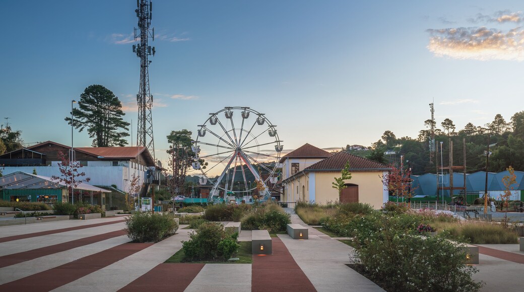 A Ferris wheel, a tall communication tower, and a row of houses with red roofs.