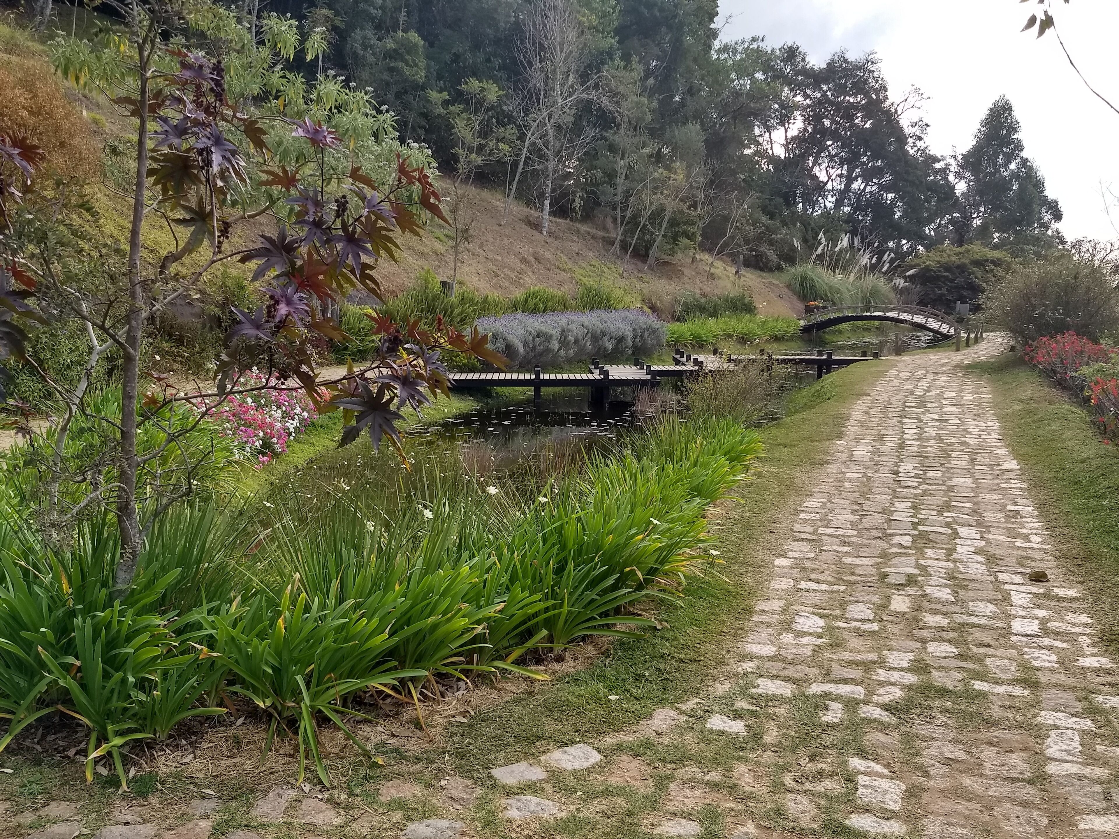 Jardins que falam.