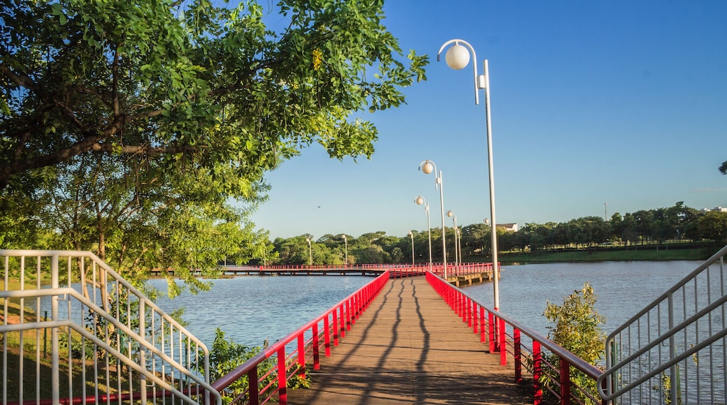 São José do Rio Preto