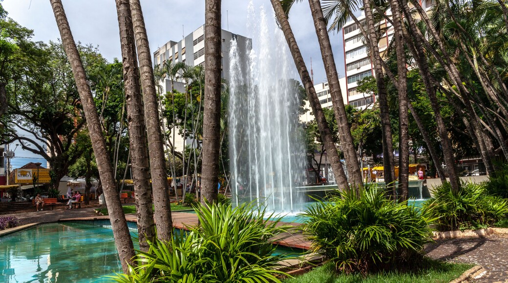 Sao Jose do Rio Preto, Sao Paulo, Brasil, May 10, 2015. Fountain at Rui Barbosa Square, known as Calçadao square, in downtown of Sao Jose do Rio Preto, Sao Paulo state