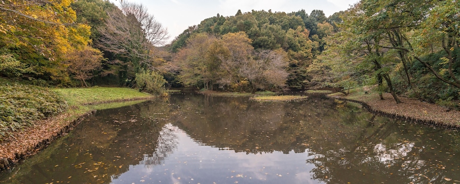 Autumn colors, Fall foliage at Zama Yatoyama Koen Park. Located in Zama-shi, Kanagawa Prefecture, Japan