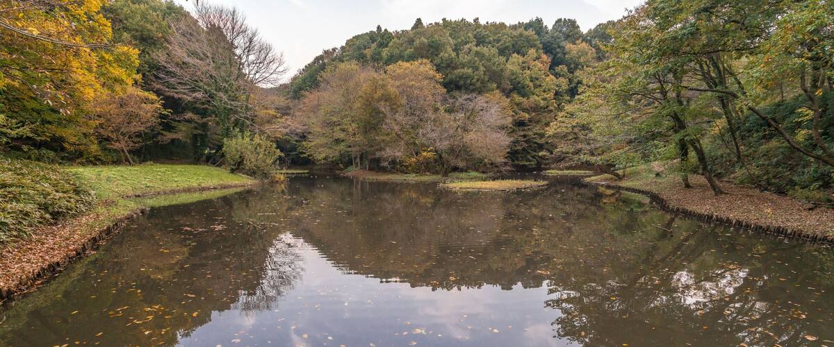 A calm river with reflections of trees, surrounded by a forested area with autumn foliage.