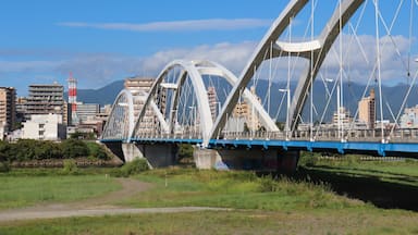 あゆみ橋(神奈川県厚木市・海老名市),ayumi bridge(kanagawa pref,japan)