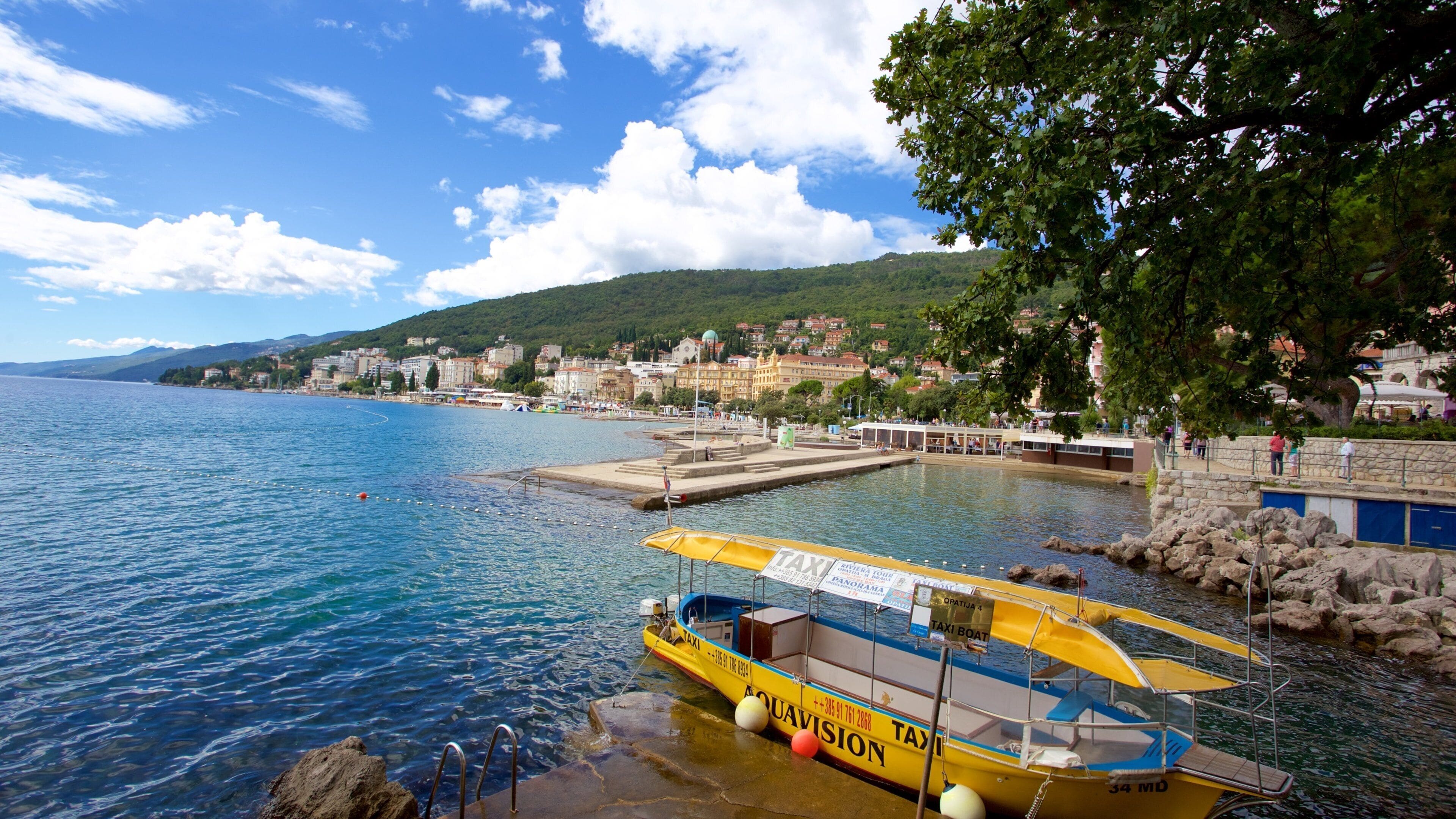 Opatija showing general coastal views